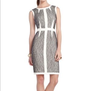 BCBGMaxAzria NWT Rumor Lace Blocked Sheath Dress